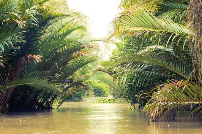 Can Tho City: Small Canals off the Mekong River