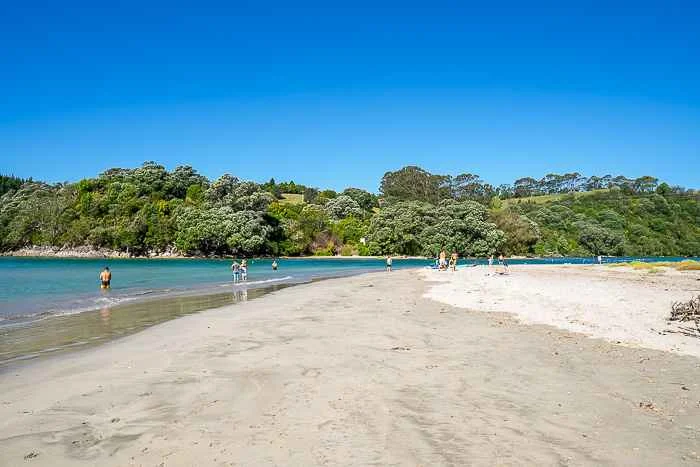 Coromandel Road trip - Cooks Beach