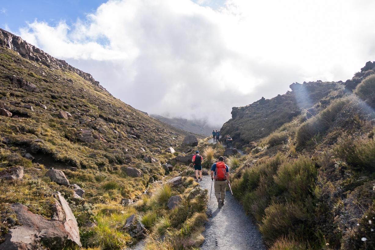 The Tongoriro National Park - beginning of the Tongariro crossing