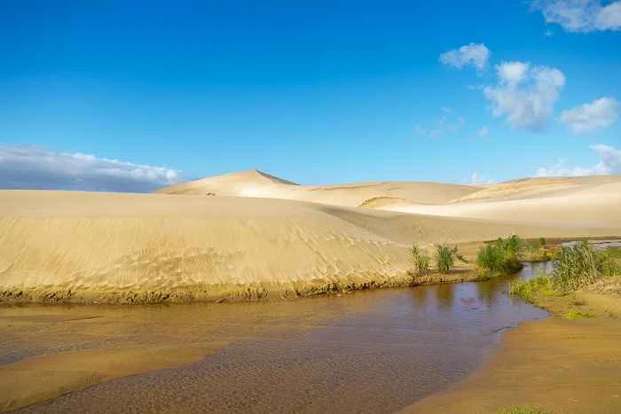 nz travel bucket list - sandboarding down Te Paki Sand dunes