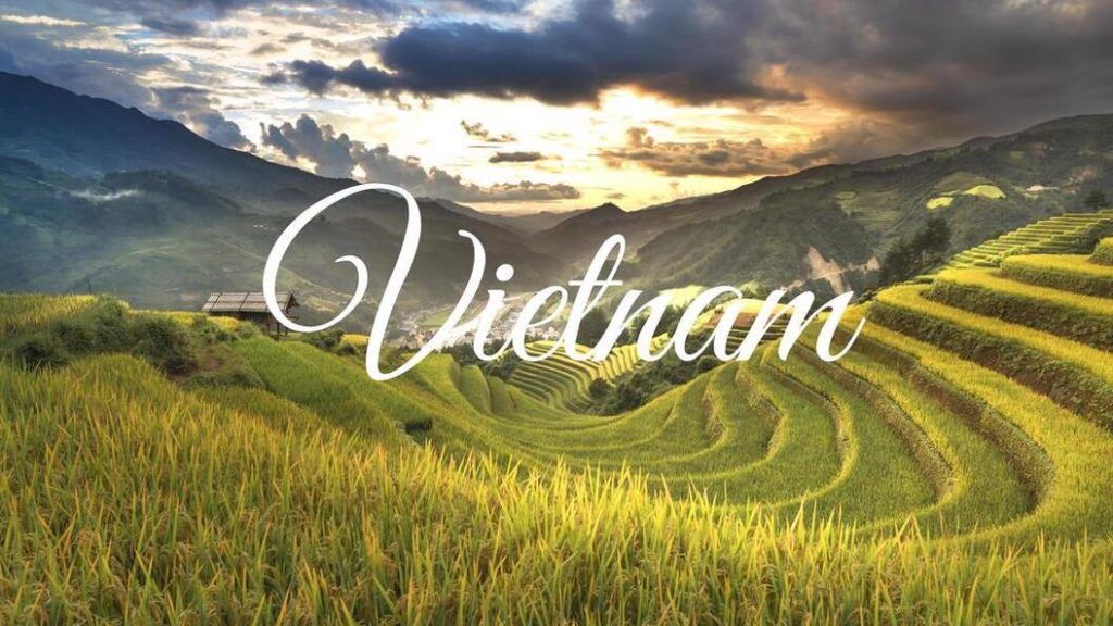 Rice fields in Vietnam. Tour and travel Vietnam