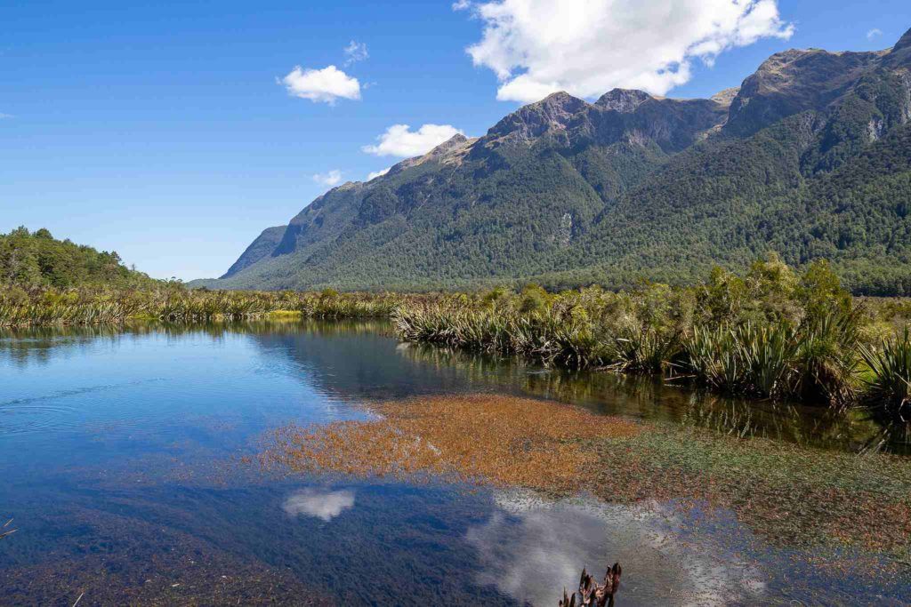 Mirror Lakes on Milford Road, Milford Sound