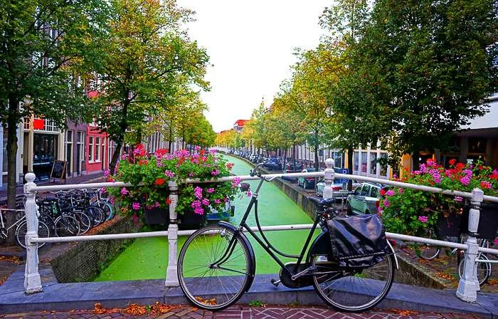 Delft canal green with moss, The Netherlands