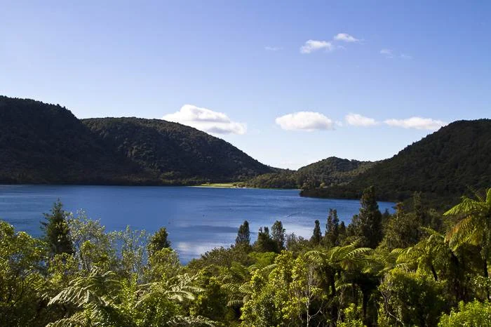 The Blue Lake walk is one of the best Rotorua walks
