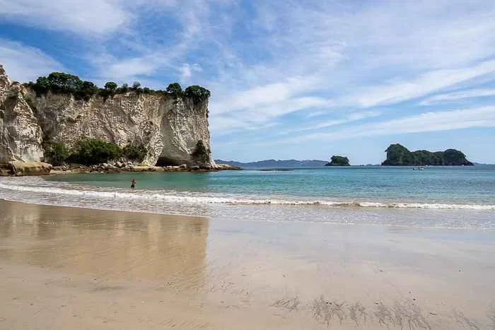 beach in the Coromandel Peninsula North Island New Zealand