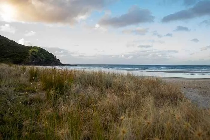 A beach in Northland New Zealand at sunset. Northland is one of the best areas to road trip in New Zealand