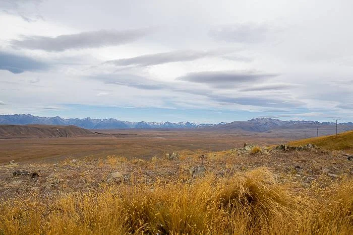 Views of the Tekapo regions on the drive between Christchurch and Queenstown. An unmissable New Zealand road trips